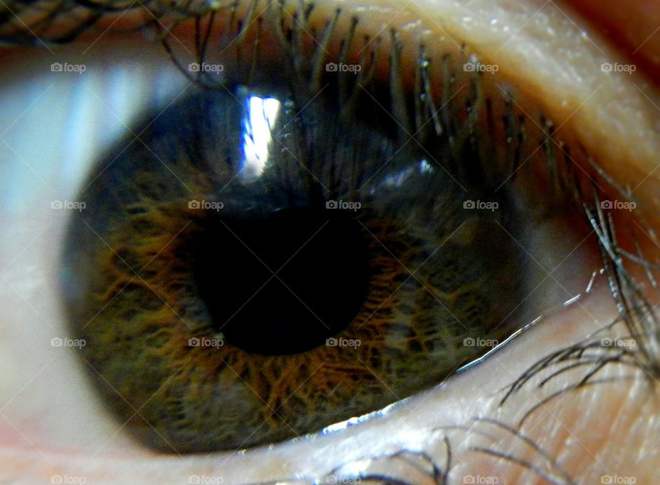 close-up of human eye with details of light brown iris