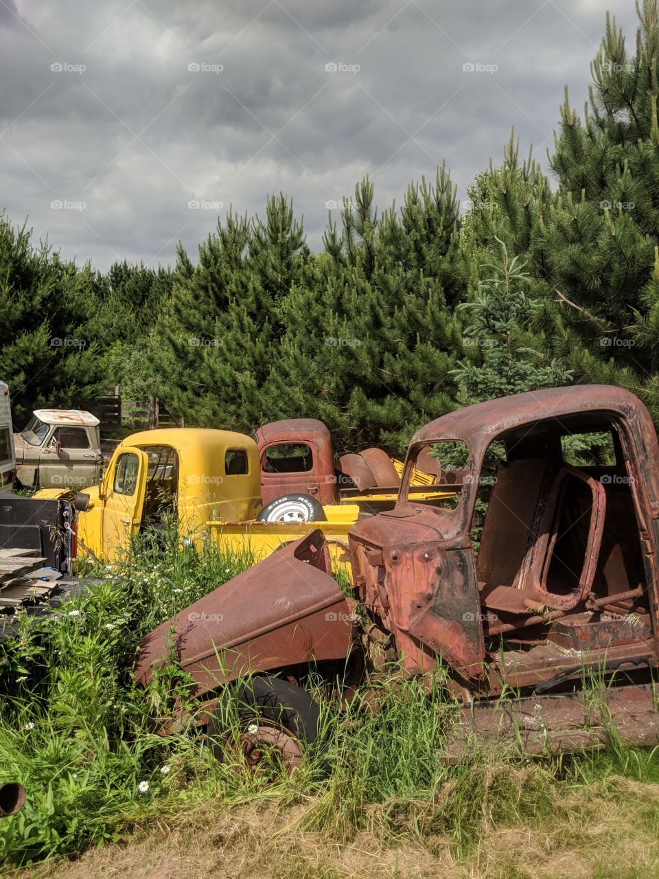 junk, rust, yellow, cool, potential, trucks, old, hot rod, rat rod, refinish, build, Ford, Plymouth, Chevrolet