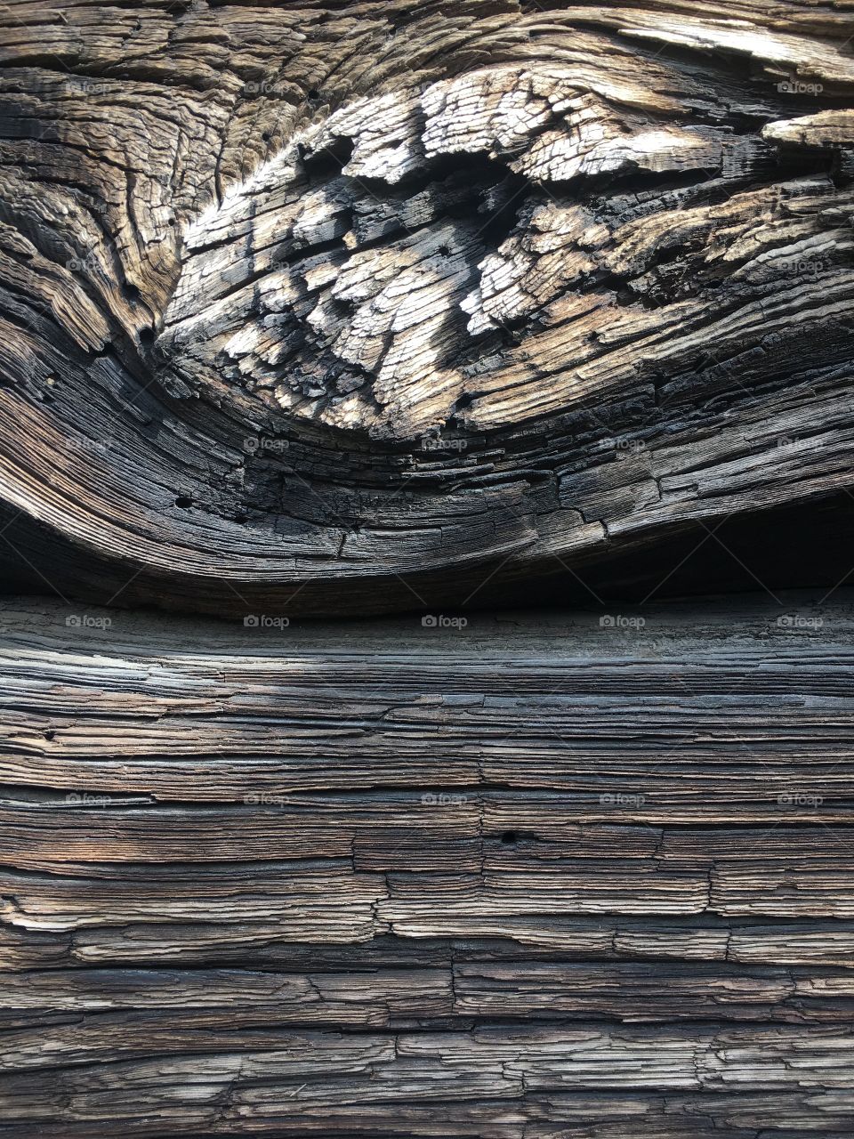 Wood, Log, Tree, Texture, Tree Log