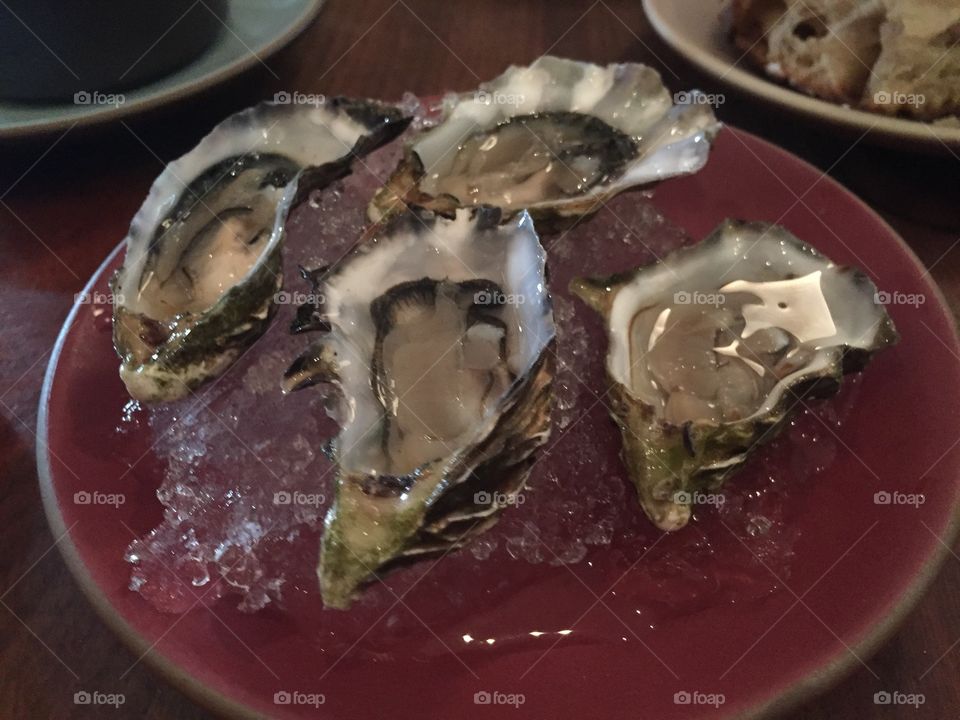 Oysters 