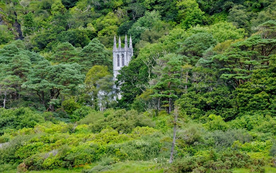 Tower in the forest