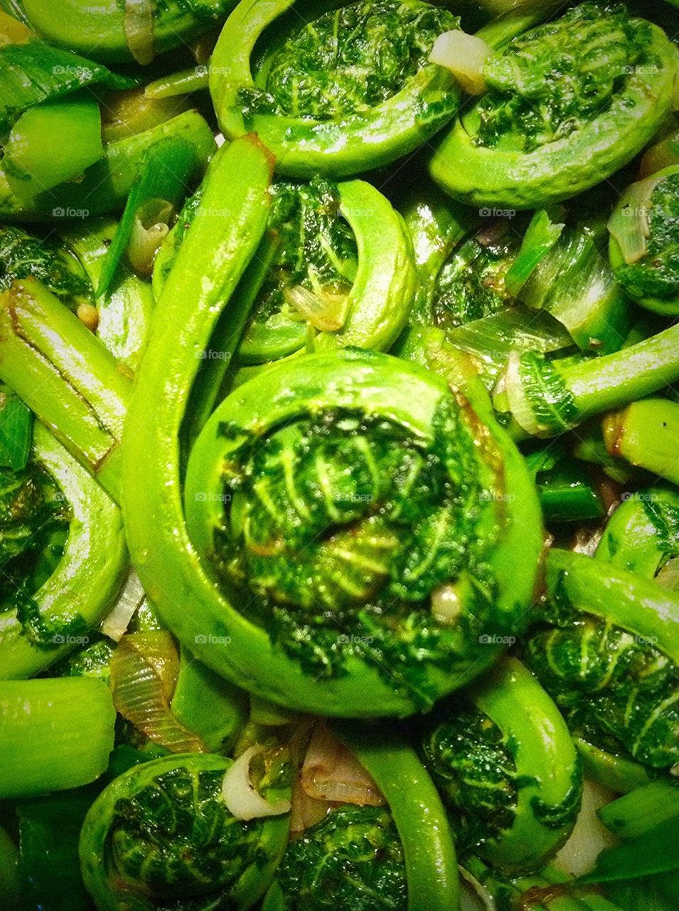 Fiddlehead ferns