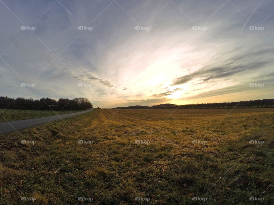 Empty road passing through agriculture field