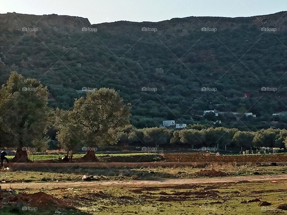 Population between the nature