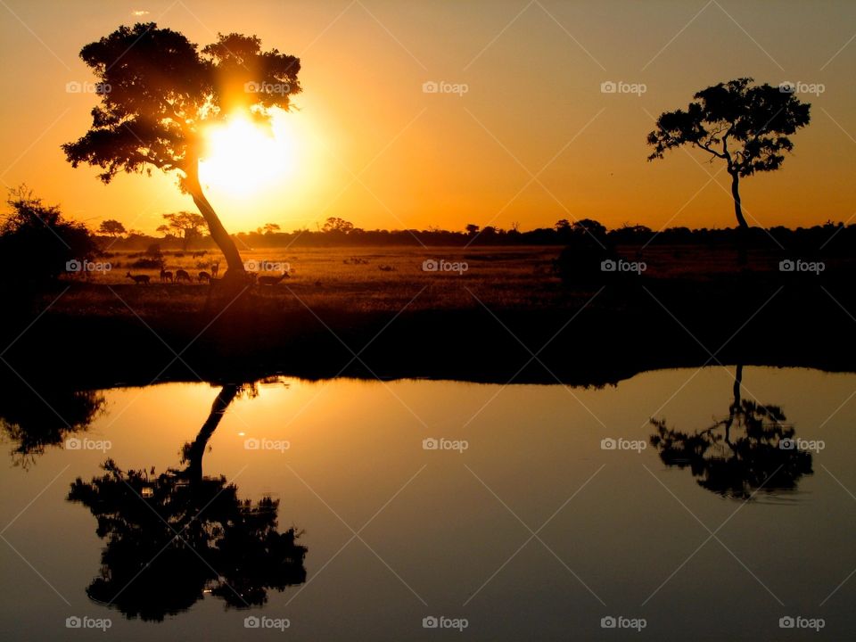 Botswana at sunset. Botswana at sunset