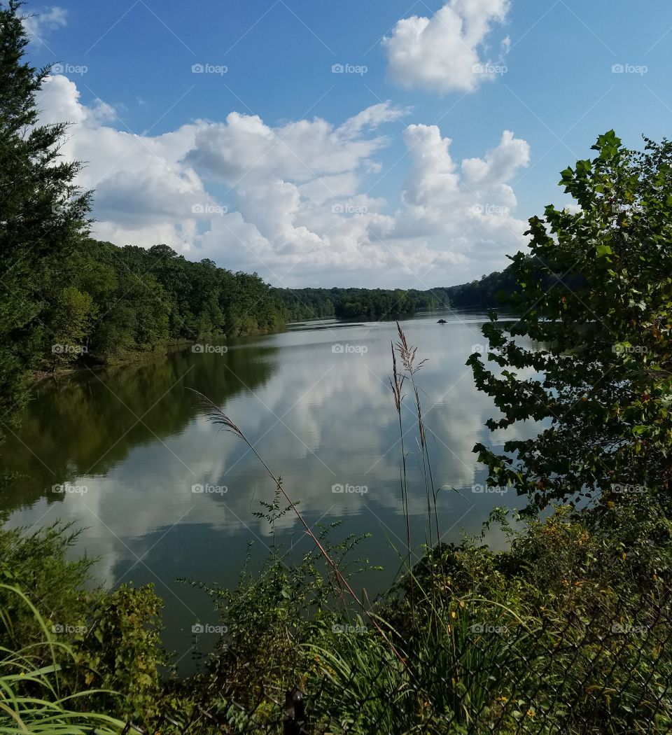 Lake, Water, Landscape, Tree, River