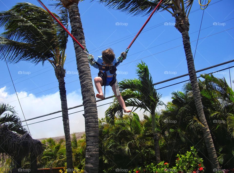 Boy On Bungee Swing
