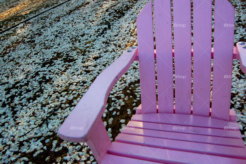 pink chair