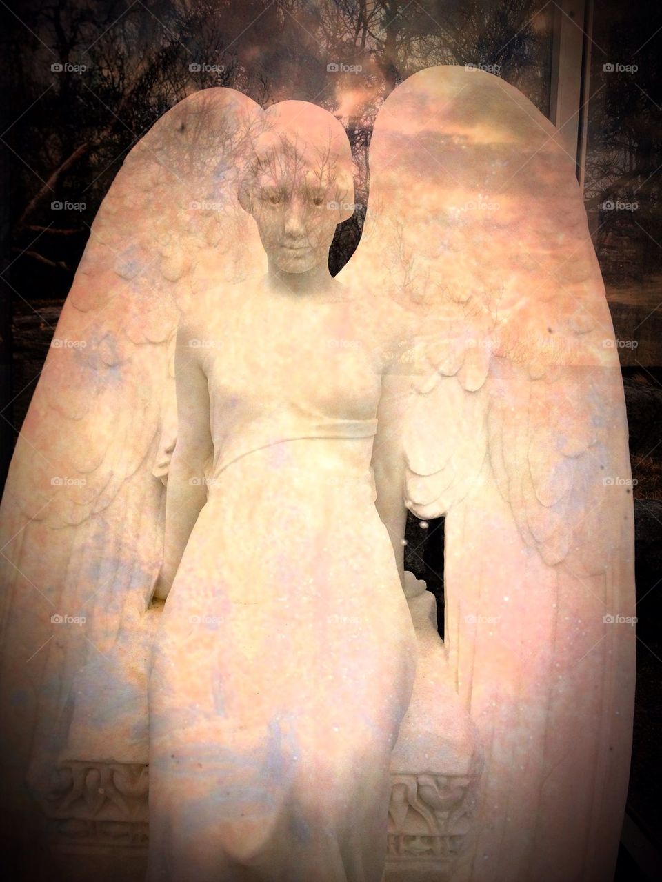 Angel Blanche