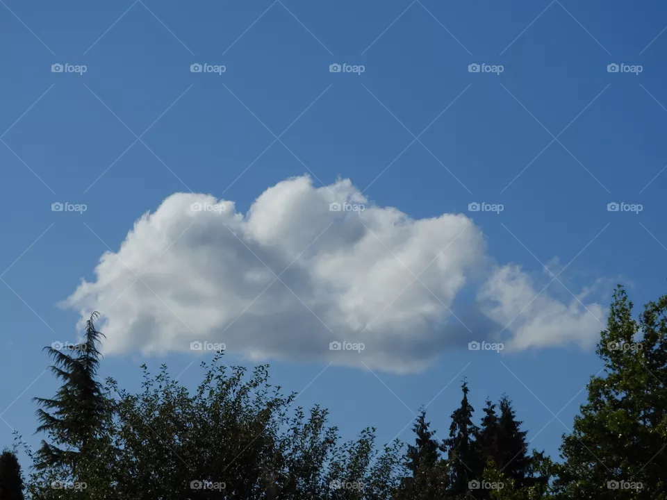 Clouds