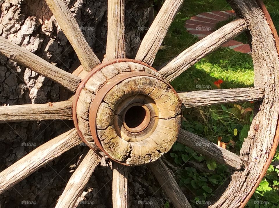 Antique wood wagon wheel . Covered wagon wheel, wood