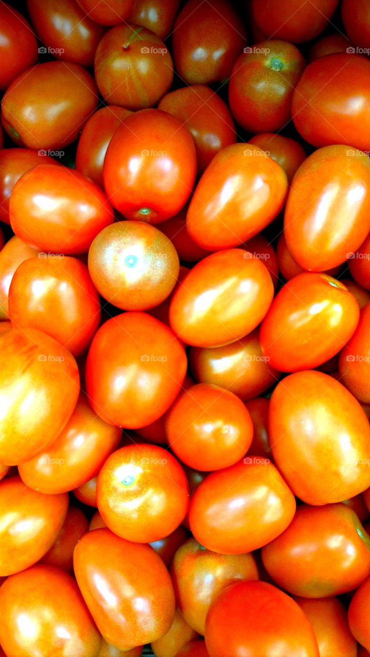 Fresh tomatoes!