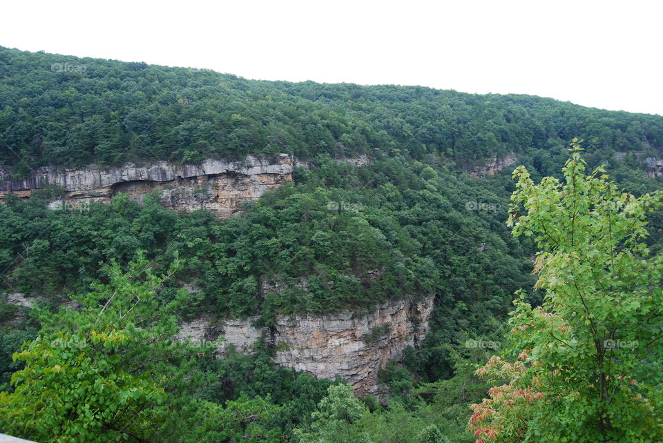 Mountain Range in the Forest