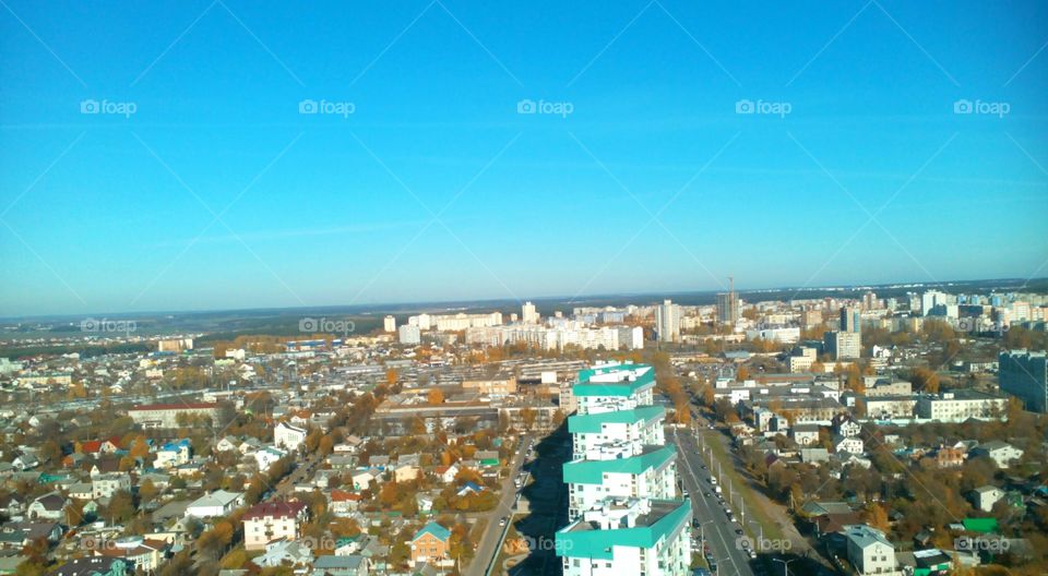 Rooftop view of the city