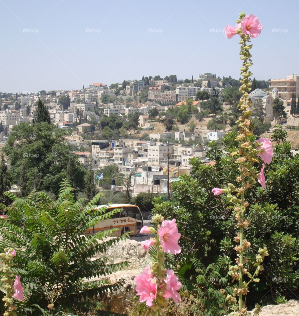 view of Jerusalem