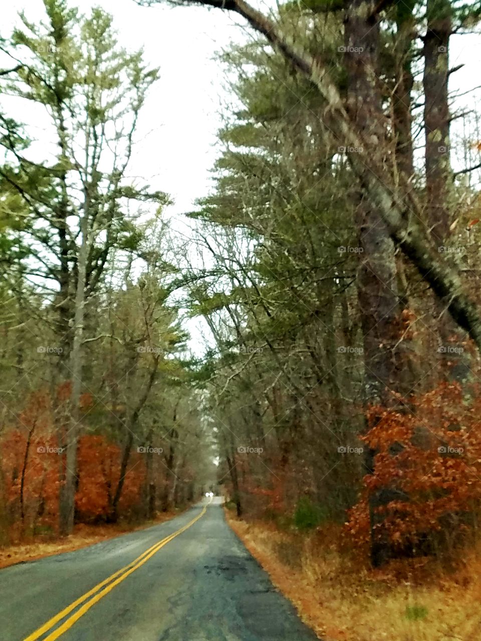 New England street in Winter, double yellow line, no passing. Car coming week headlights on.