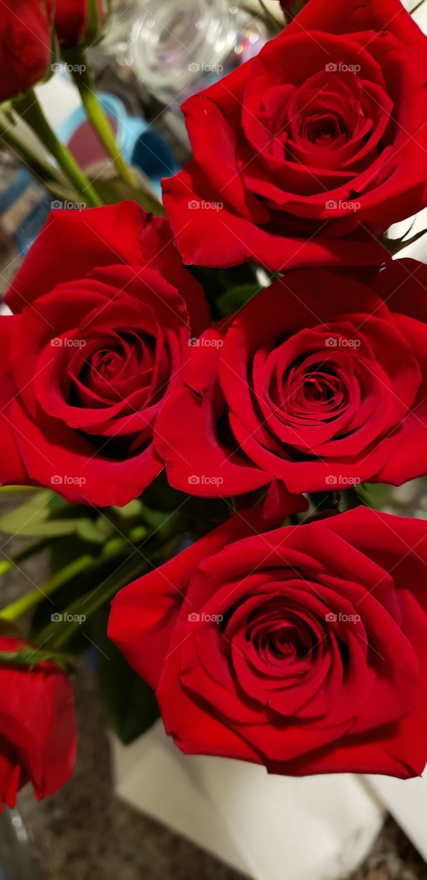 Red Roses