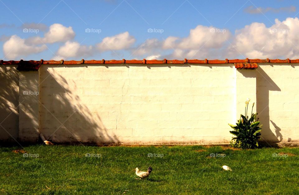 farm wall