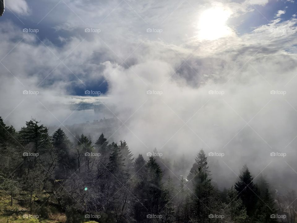 View from up high on a hill overlooking tall forest trees with sun shining through clouds and fog. Beautiful nature in the City of Nanaimo, on Vancouver Island, British Columbia, Canada.