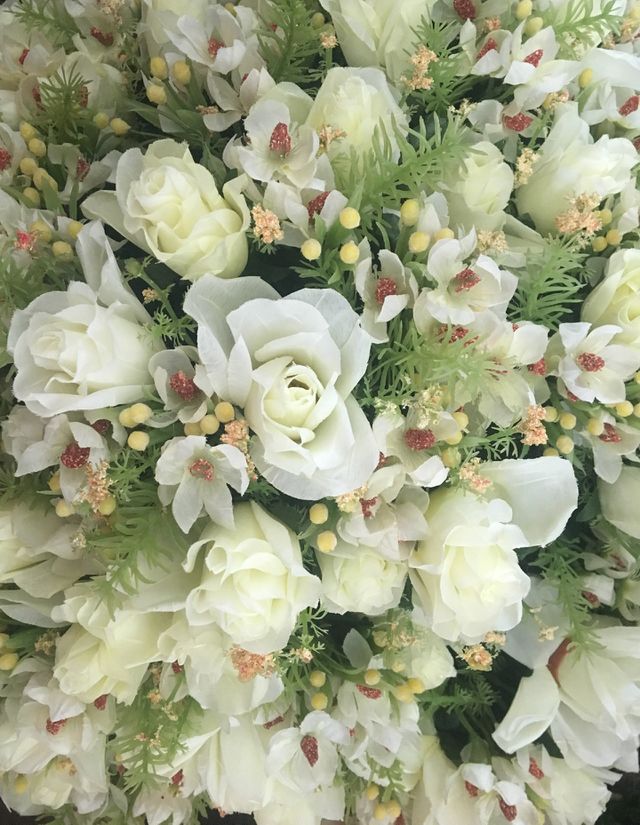 White roses on the background
