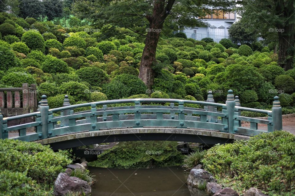 Bridge over a small creek in Tokyo Japan , at the Nezu shrine 