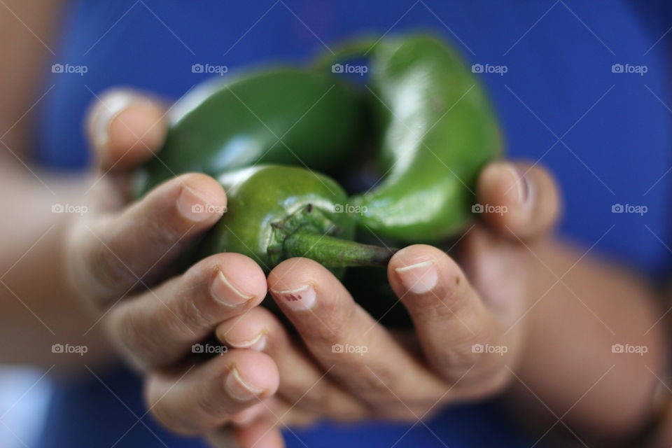 Holding jalapeno