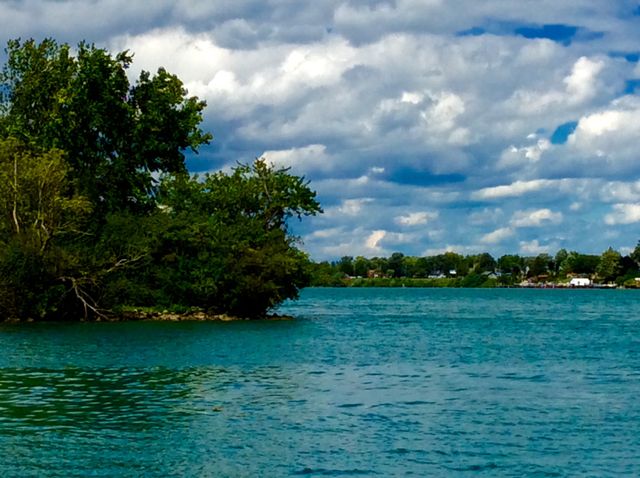 Forest and lake