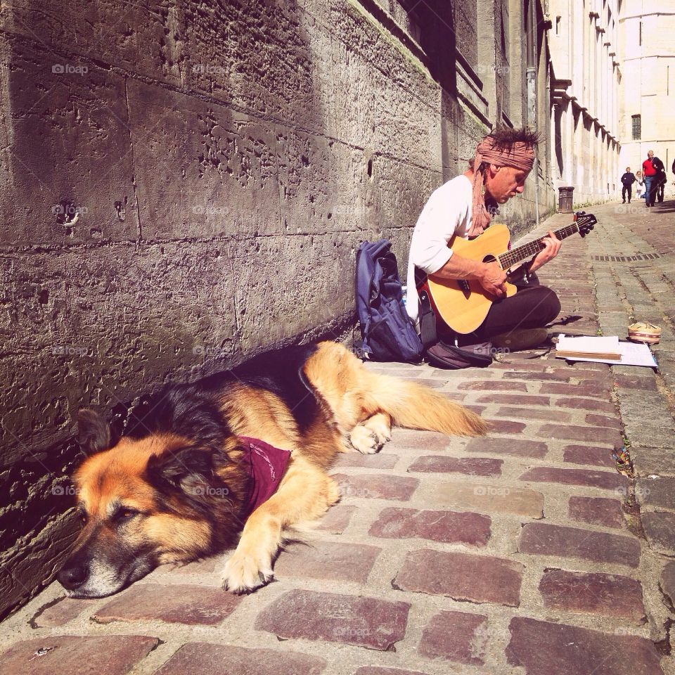 Dog with street musician in Rouen 