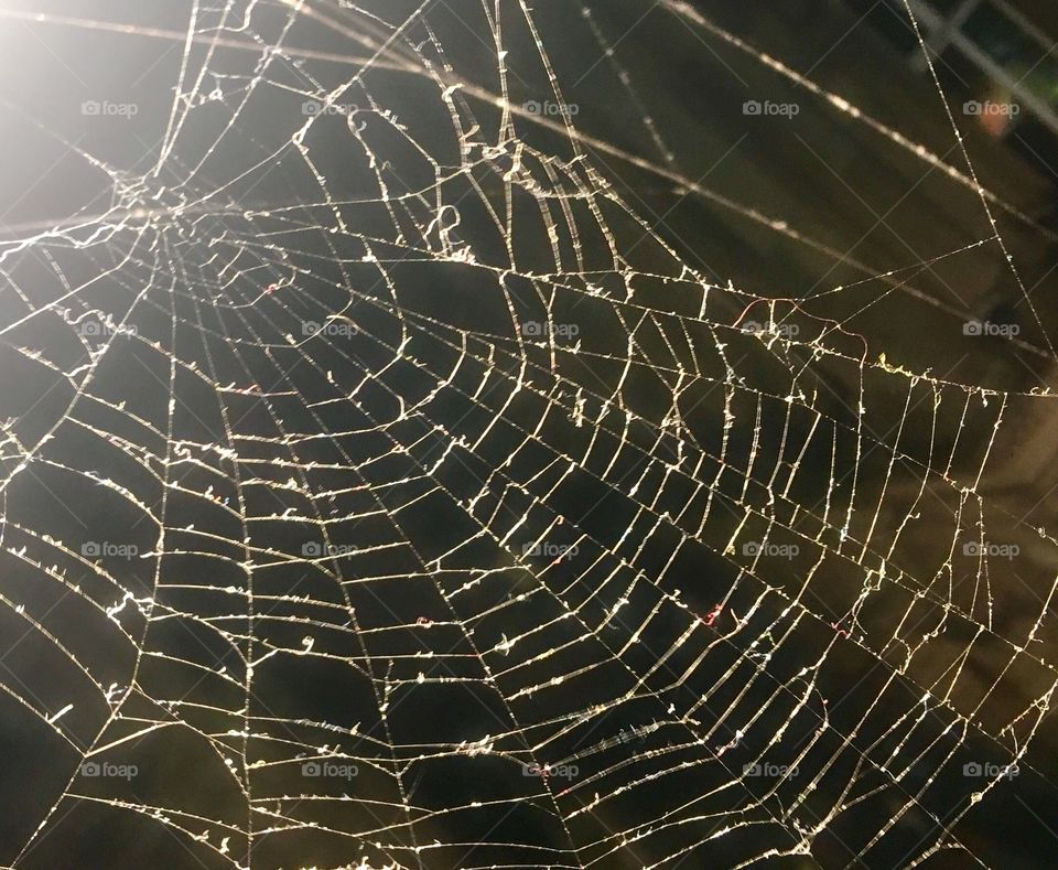 Spiders web in the Q-Park car park near Albion St, Leeds
