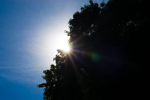 Sun