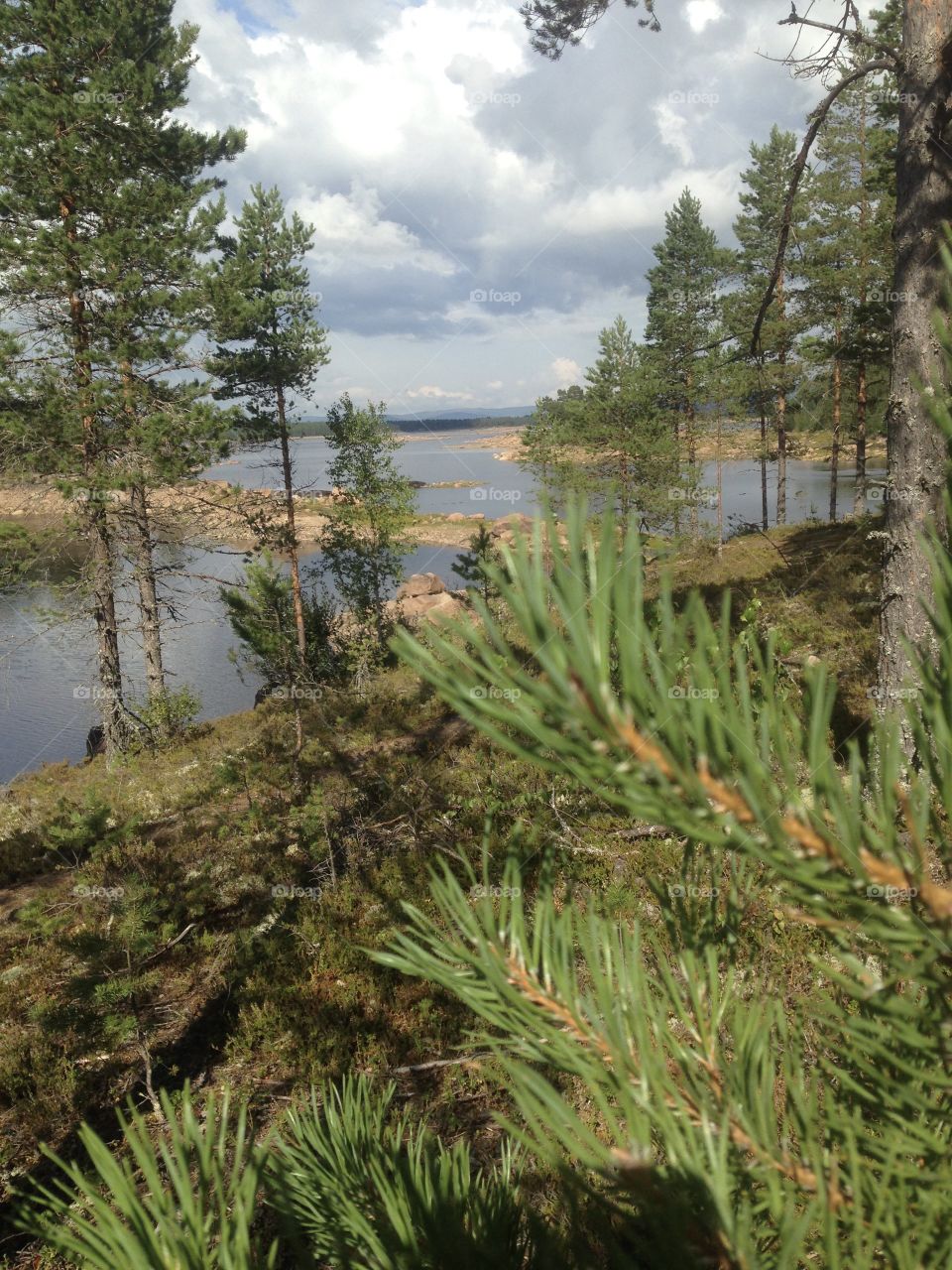 Colors of Sweden- More green