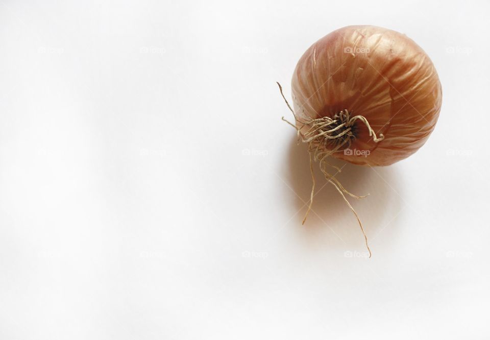 An onion on a white background