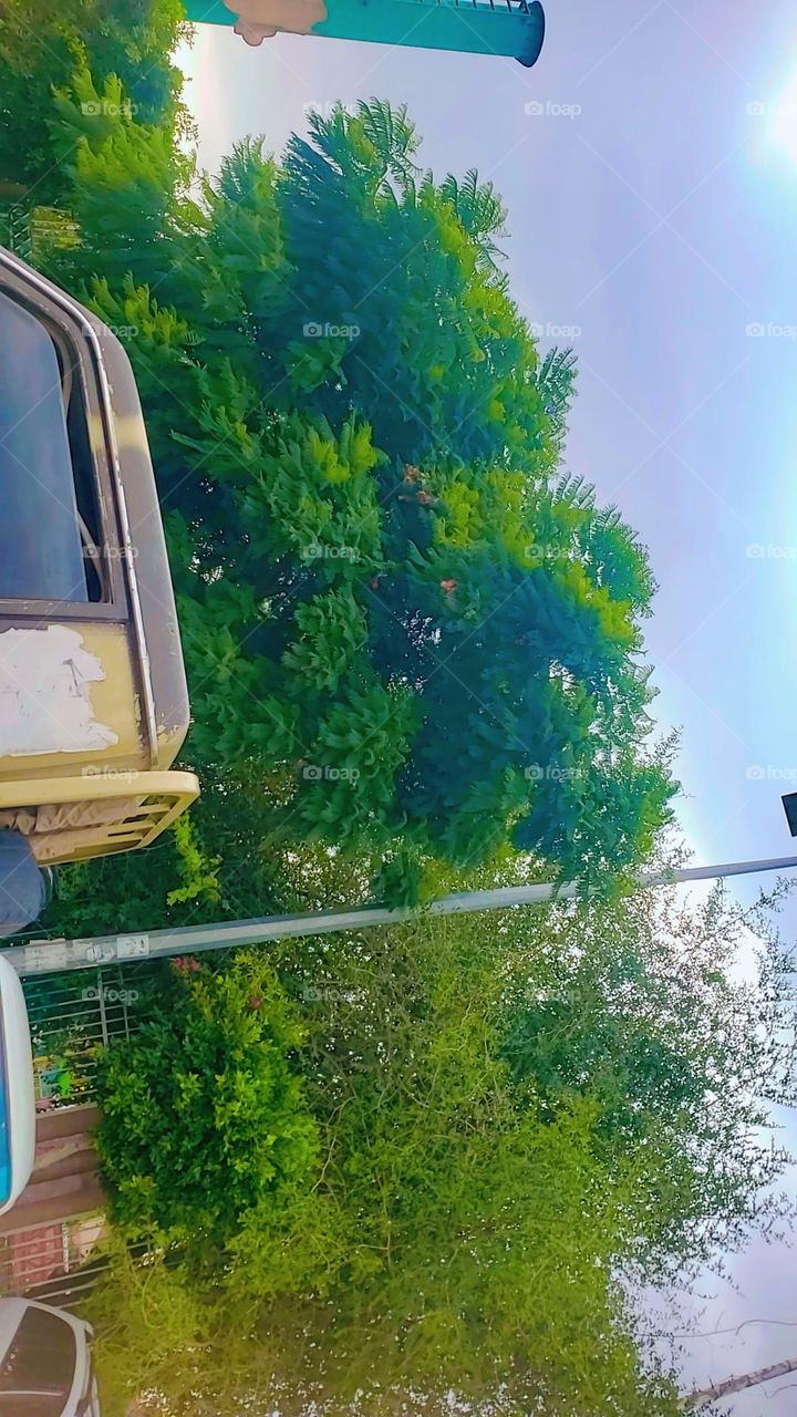 Glory be to God, the magnificent and picturesque view and the natural green trees are a view that is nothing more wonderful than it