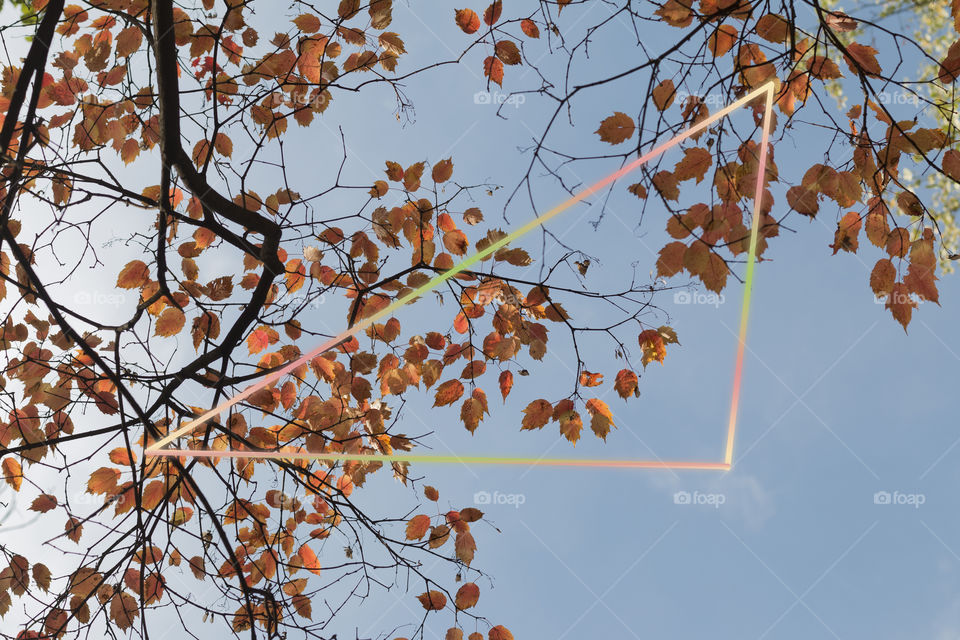 Nature photography with glowing frame 