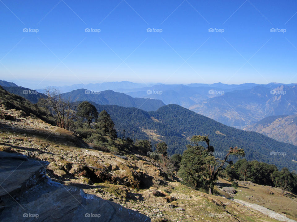 Chopta Valley