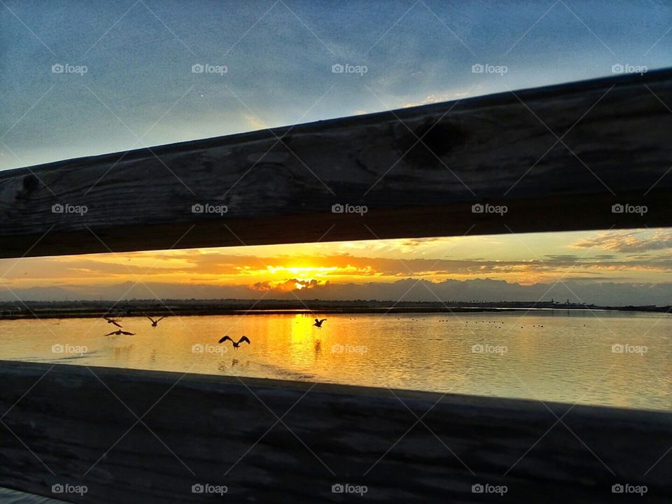 Sunrise and birds