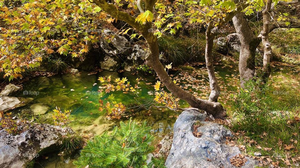 The colors of autunn