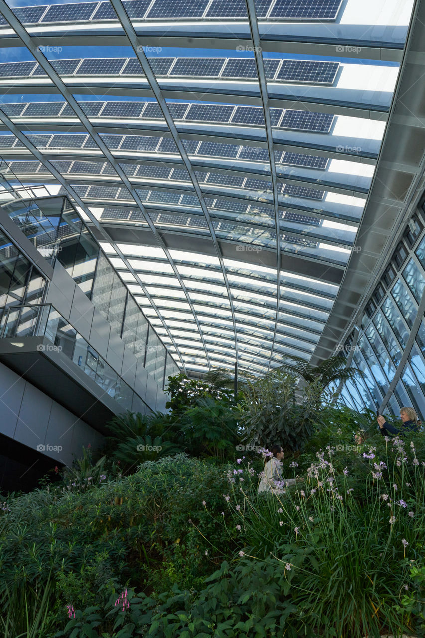 Sky Garden (London)