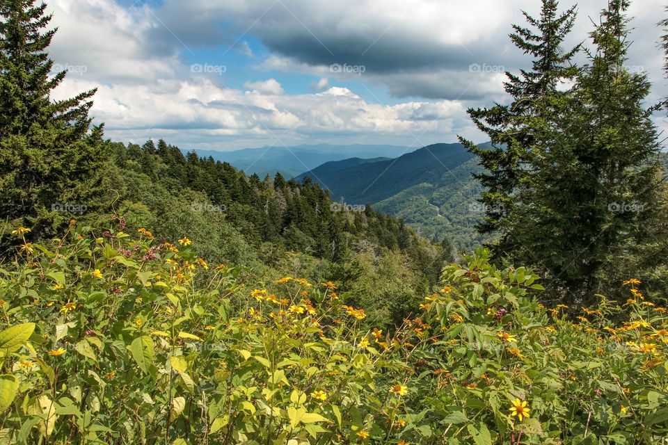 View from Newfound Gap Road #greatsmokymountainsnationalpark