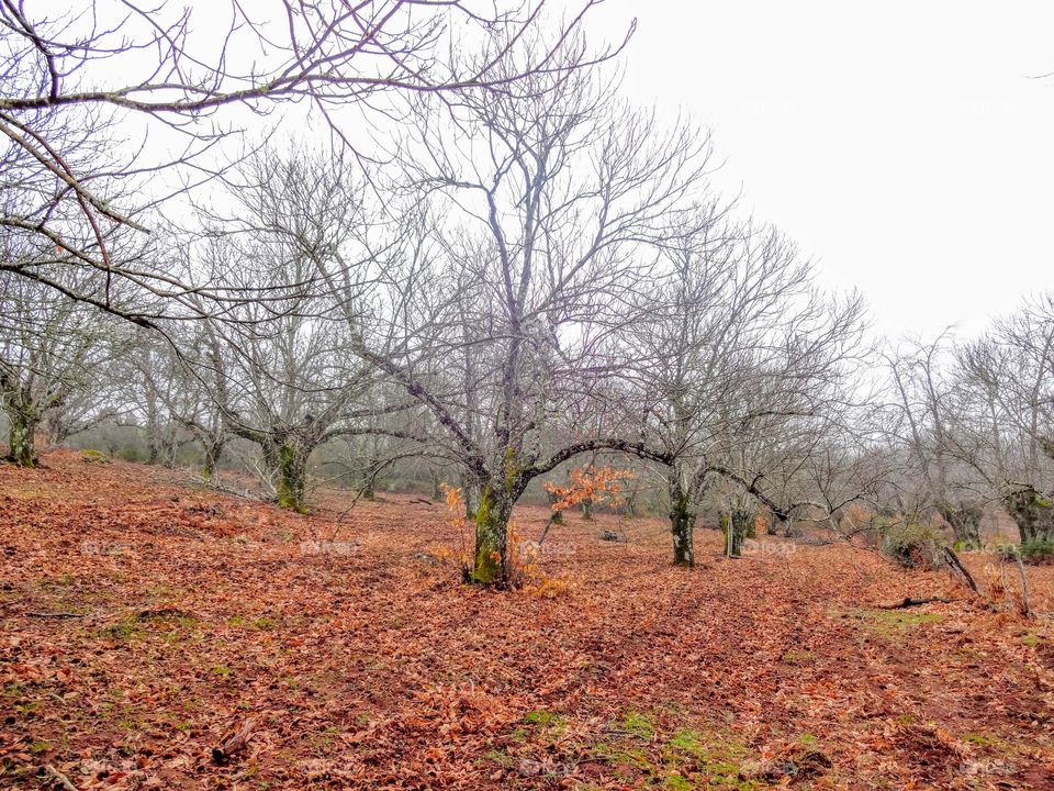 Hiking outside Sevilla, Spain