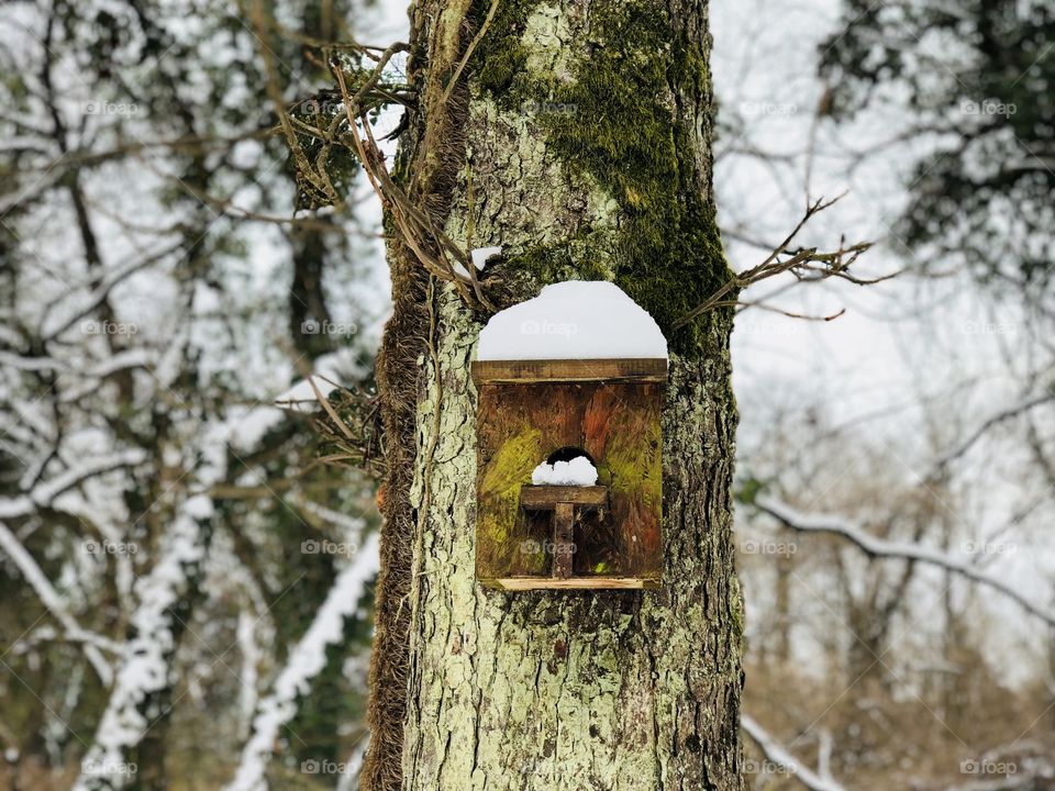 Birdhouse