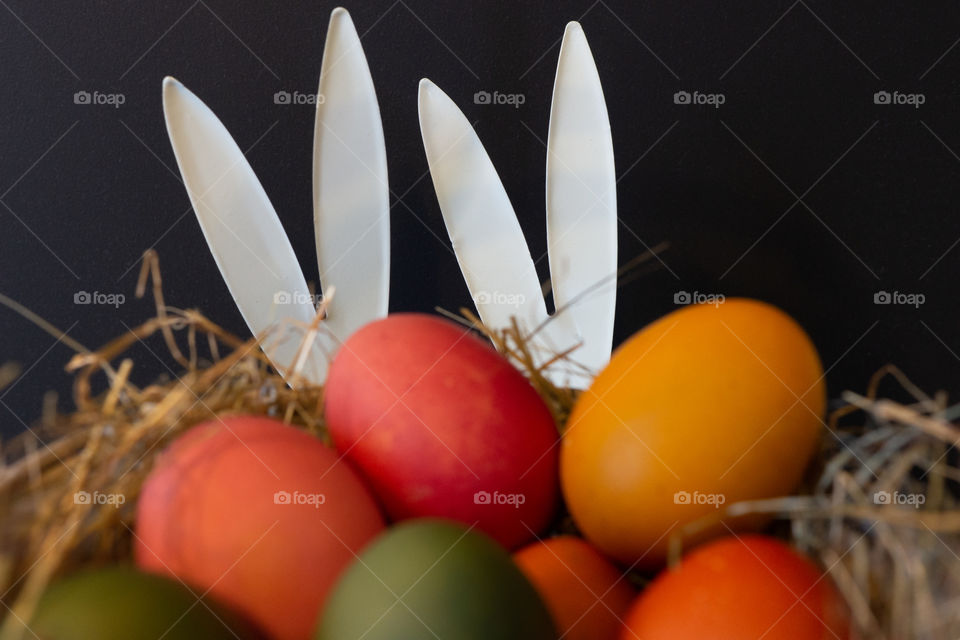 funny rabbit ears behind a nest with easter eggs