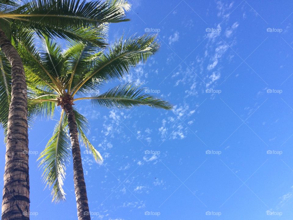 Blue Sky of Waikiki Beach. You can enjoy watching blue sky and ocean here in Waikiki