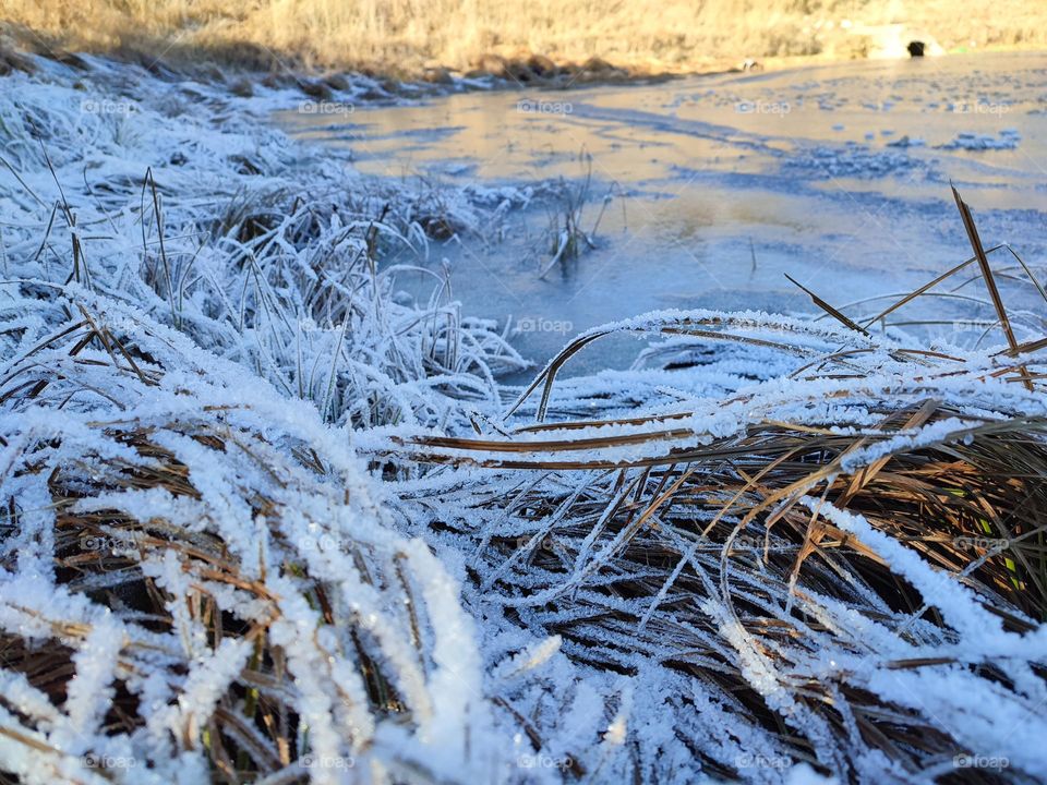 Frosty Marvels Nature's Ice Artistry Frozen Lake