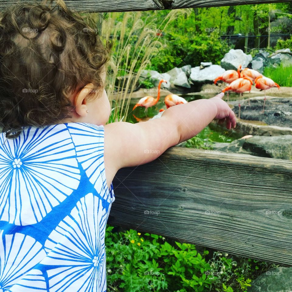 Child, People, Nature, One, Outdoors