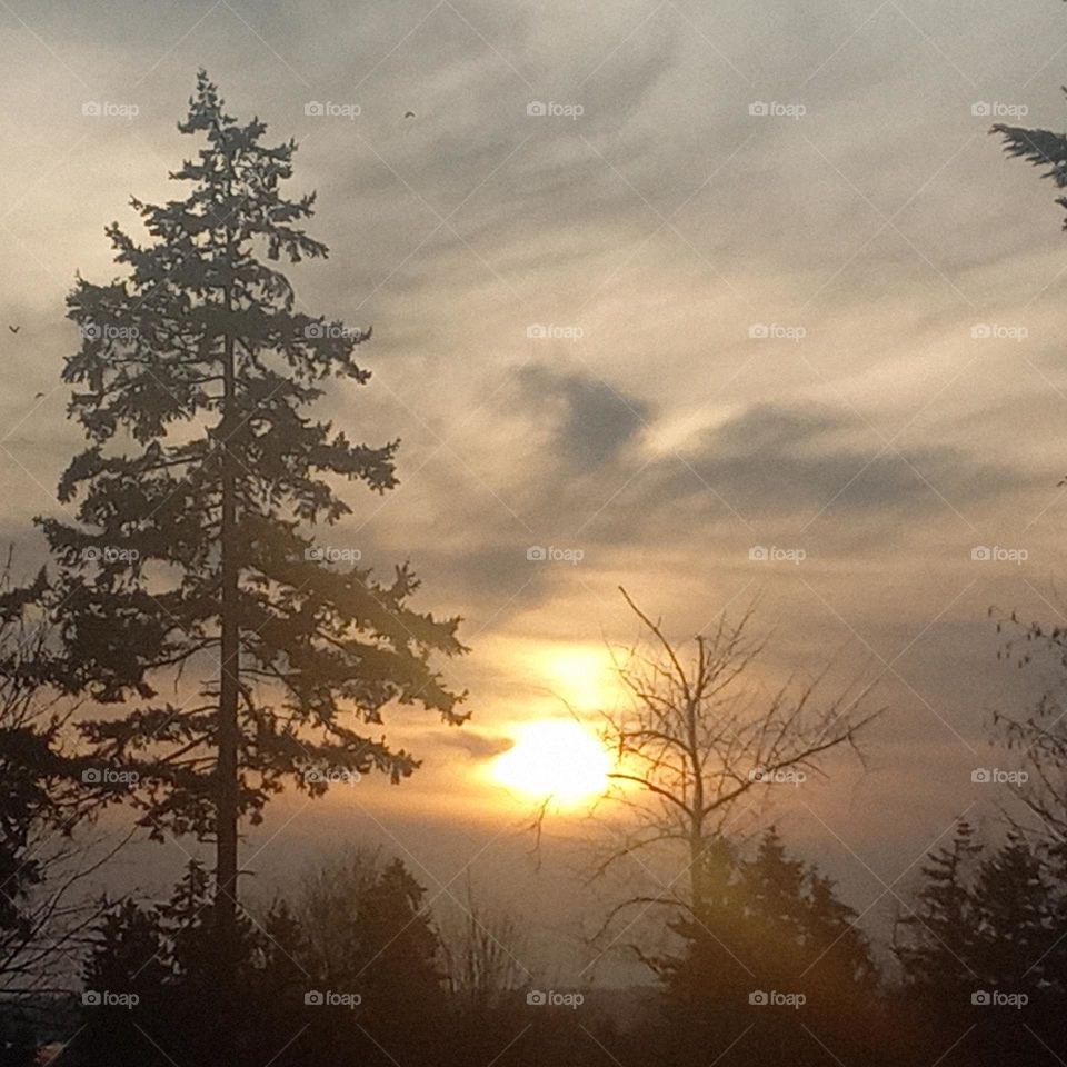 Wintery clouds of gray,  pink, and orange with the sun setting haze flowing through.