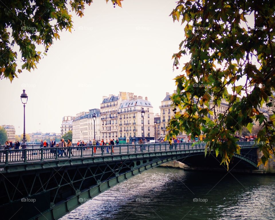 Bridge in Paris 
