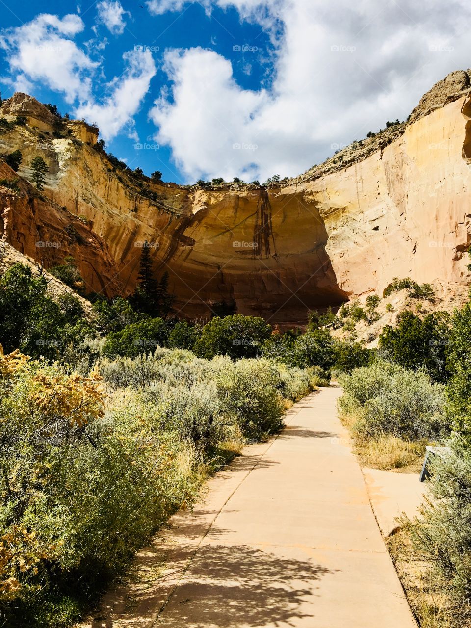Blood streaks at Echo Amphitheater 