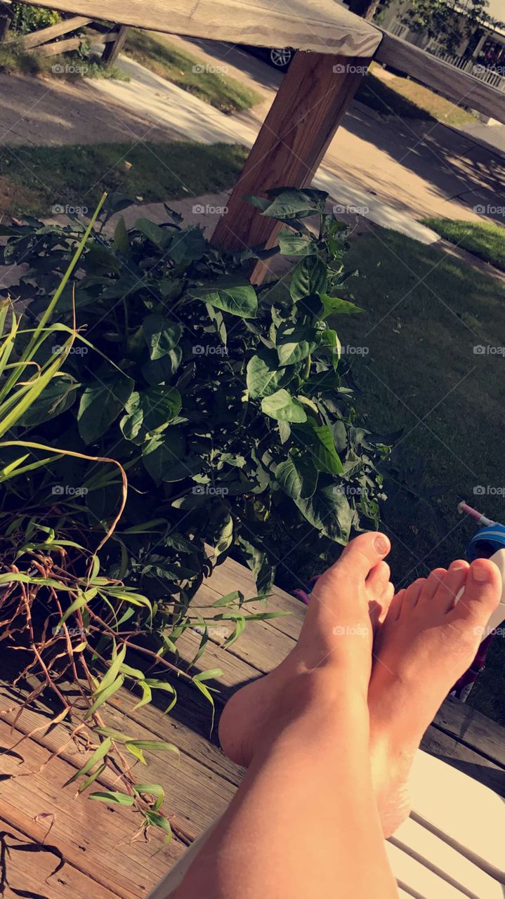 Relaxing with my Veggie plants 