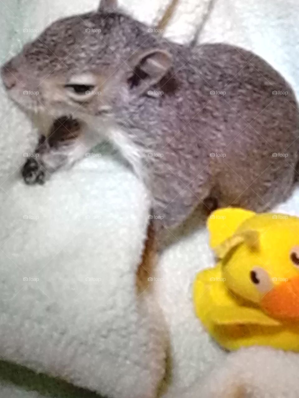 when your mad at your bff 😃